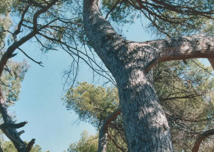 Aparthotel A Storia *