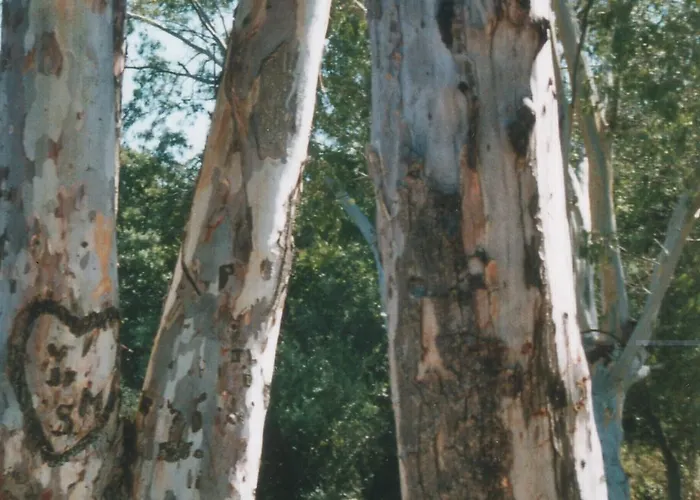 A Storia Aparthotel Coti-Chiavari (Corsica)