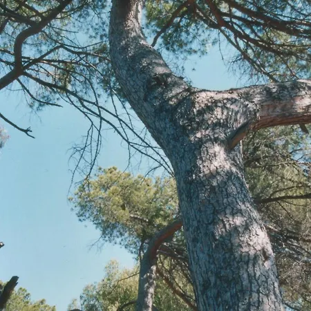 Apartahotel A Storia *