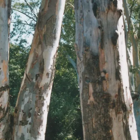 A Storia Apartahotel Coti-Chiavari (Corsica)